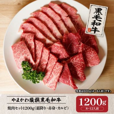 黒毛和牛】焼肉セット（霜降り・赤身・カルビ）600g （4～6人前