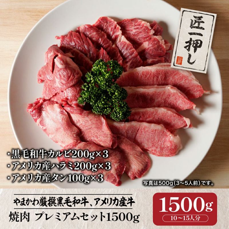 焼肉 プレミアムセット（黒毛和牛カルビ200g・アメリカ産ハラミ200g・アメリカ産タン100g）×3 （10～15人前） 肉のやまかわ