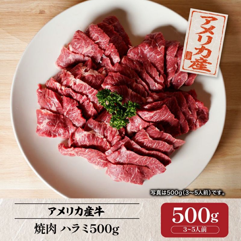 アメリカ産】焼肉 ハラミ500g （3～5人前） 肉のやまかわ